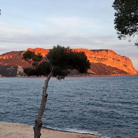 Superbe Appartement Piscine, Tennis, Vue Mer Et Decore Avec Gout Cassis Bagian luar foto